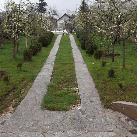 America's * Saraievo